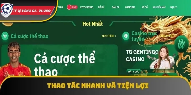 Minh hoạ chân thực về cách chơi cho người mới