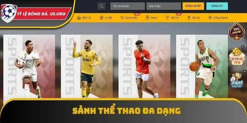 Trải nghiệm giải đấu thể thao gay cấn