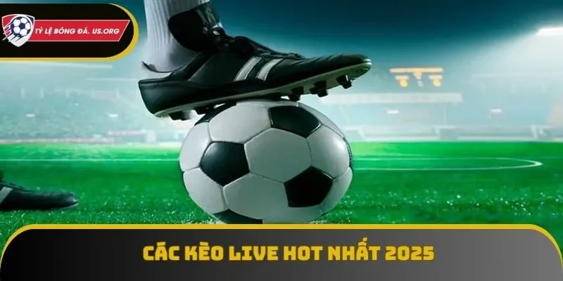 Các loại kèo nhà cái trực tuyến hot nhất hiện nay