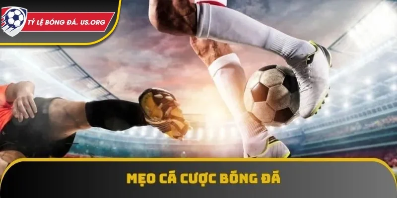 Mẹo cá cược bòng đá