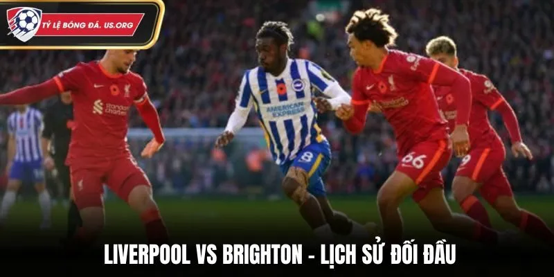 Soi kèo Liverpool vs Brighton - tổng quan kết quả đối đầu trước kia