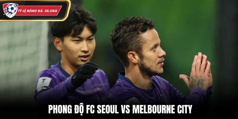 Soi kèo FC Seoul vs Melbourne City - phân tích phong độ mới nhất