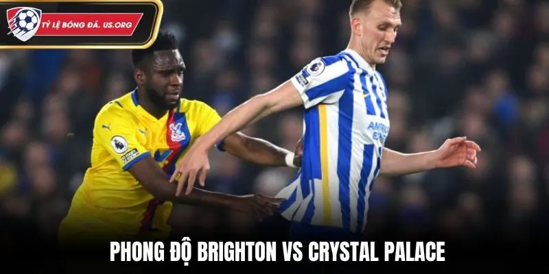 Nhận định soi kèo Brighton vs Crystal Palace qua phong độ